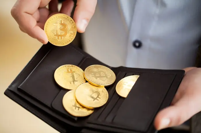 Mengenal Berbagai Jenis Dompet Kripto Sebelum Berinvestasi