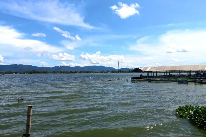 Aktivitas Wisata Seru di Rowo Jombor