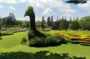 Taman Bunga Nusantara, Surga Taman Bunga Berkelas Internasional di Kaki Gunung Gede
